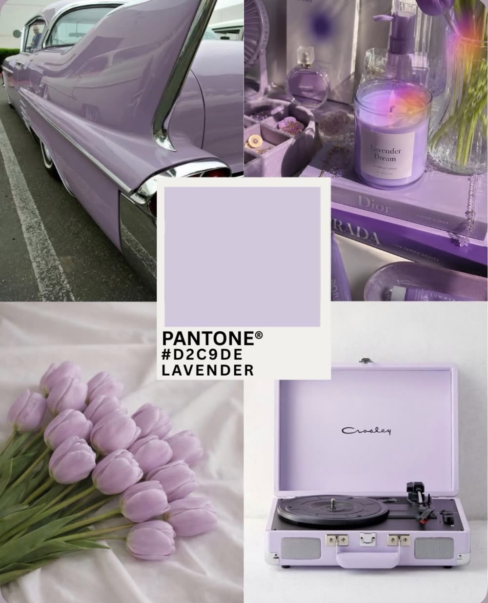 Inspiração da cor lavanda
